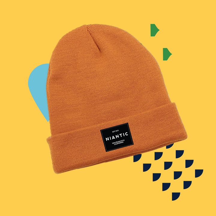 EXPLORER BEANIE