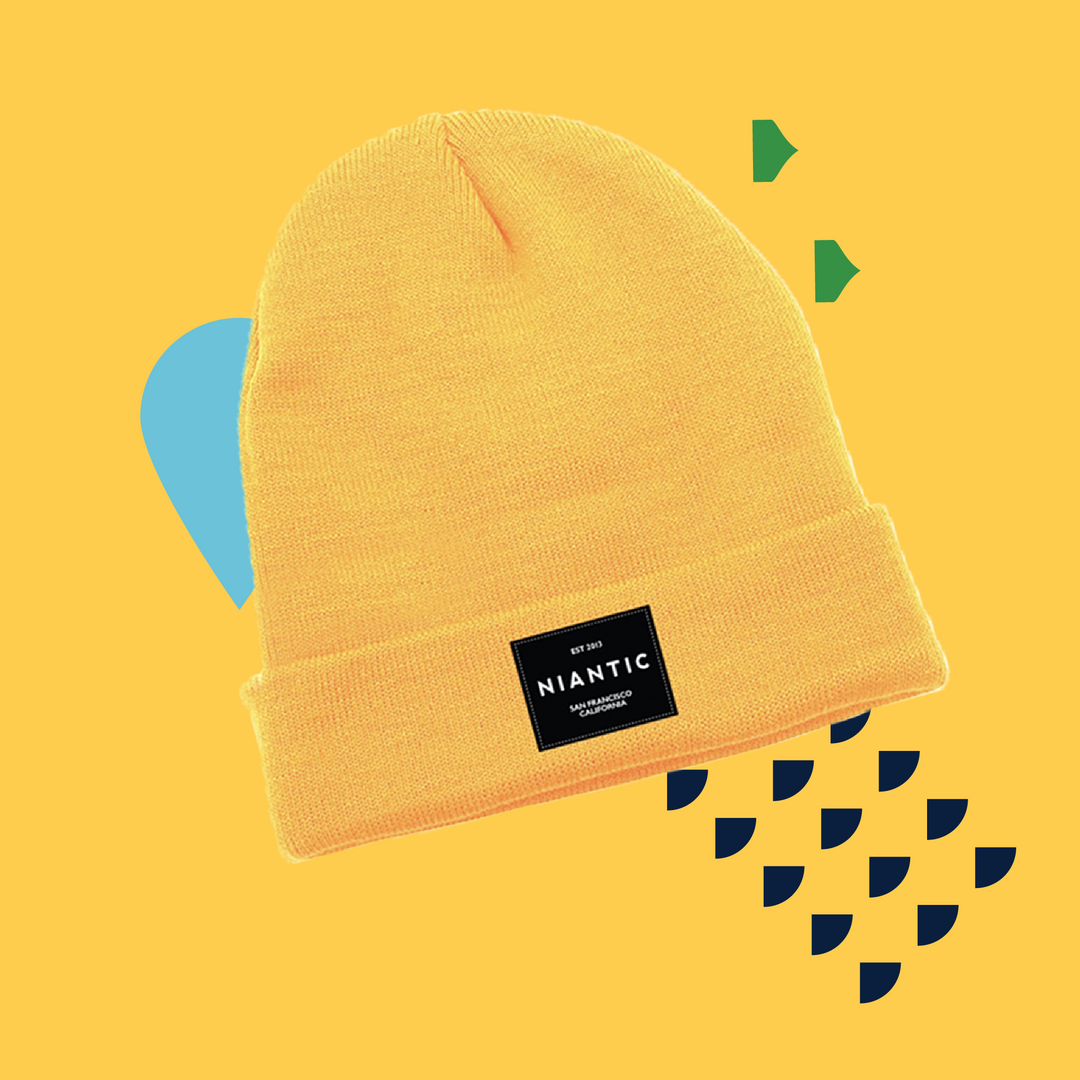 EXPLORER BEANIE